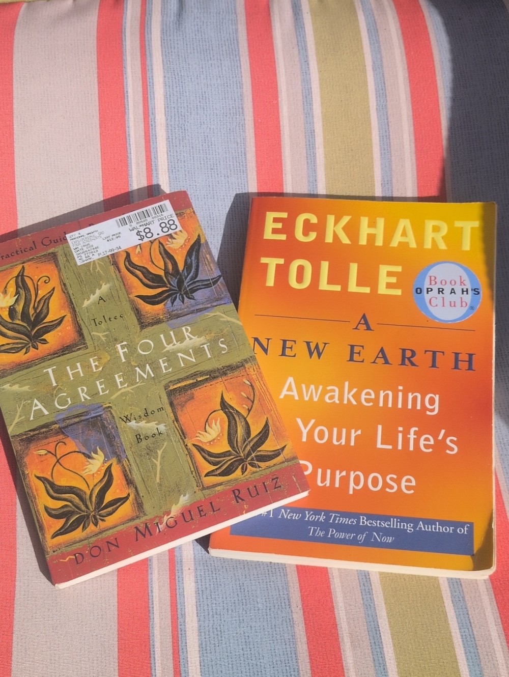 A New Earth - Eckert tolle And The Four Agreements By Ruiz